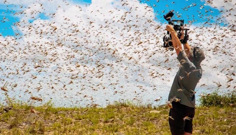 'Planet Earth II' Is BBC's Most Cinematic Series Yet, Here's How