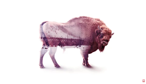 Adobe's 'Make It Now' Series Teaches You Photoshop Tricks in Just One Minute