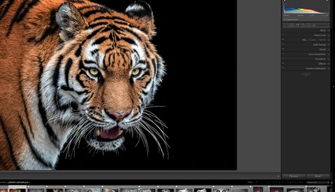 Optimize Lightroom to Run More Efficiently With These Seven Tips 