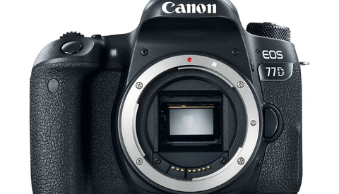What You Need to Start Your Own Photography Studio