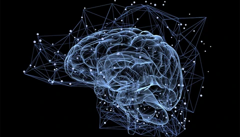 Mindset: Can Skill Alone Bring Success?