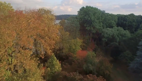 Watch the Seasons Change From the Air in This Gorgeous Video