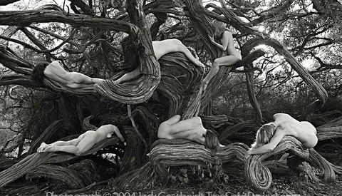 A Remarkable Photo Book 12 Years in the Making