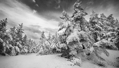 Three Methods to Convert Photos to Black and White in Lightroom