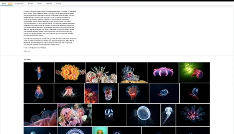 Flickr Introduces New Showcase Feature, but Does It Still Matter?