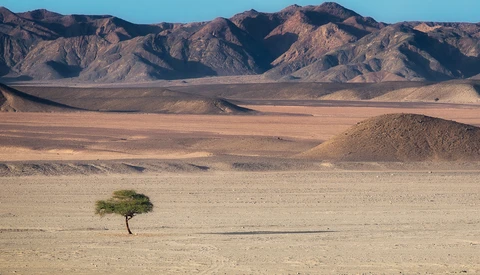 Mix it Up With These 30 Composition Styles for Photography