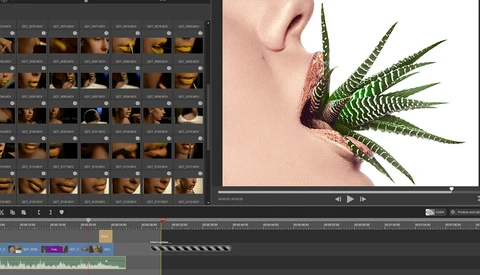 All-In-One Screen Recording and Video Editing for Windows: Fstoppers Reviews ACDSee Video Studio 2