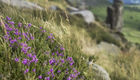 One Camera, One Lens, One Format: A Landscape Photography Challenge