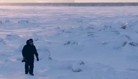 Breathtaking Hunt for the Perfect Polar Bear Photography in Arctic