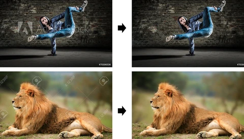 Google Research Finds Way to Automatically Erase Watermarks on Photos, Also Offers Solution