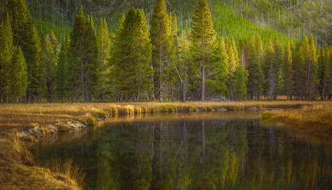 How a National Park Changed the Way I Shoot: Lessons From Yellowstone (Part 2)