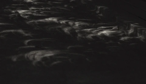 Why I Photographed the Ground During the Solar Eclipse