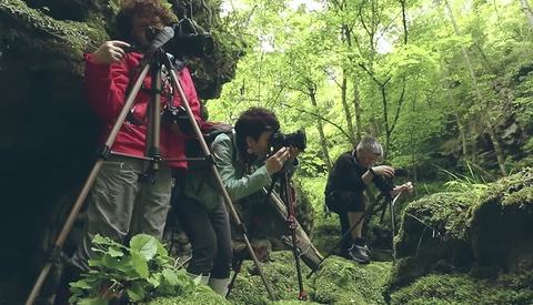 Five Mistakes Beginner Photographers Make