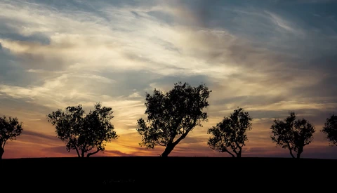 How to Make Ultra-Difficult Selections Using Alpha Channels in Photoshop