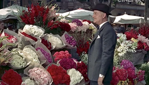 Ten of the Best Cinematographers of All Time