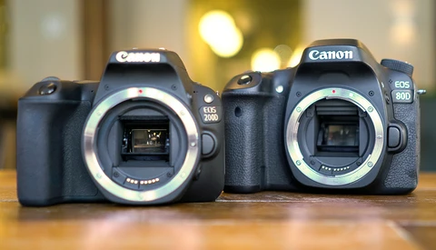 Canon SL2/200D Vs. Canon 80D: Best Entry-Level Camera Comparison