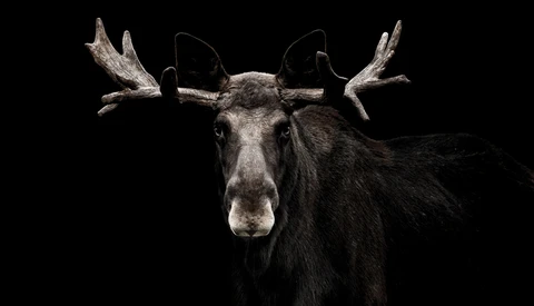 Fstoppers Interviews Fine Art Photographer George Wheelhouse