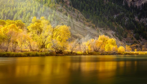 Make the Most of Autumn Colors This Fall