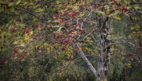 Something Different: A Quick Landscape Photography Session