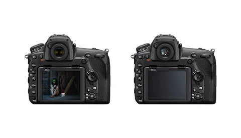 The Difference Between a DSLR's Viewfinder Autofocus and Live View Autofocus