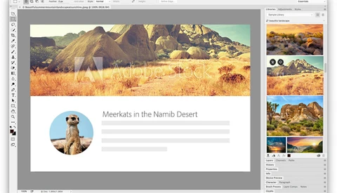 How I Use Adobe Stock as a Professional Photographer and Art Director