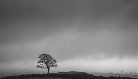 How to Create a Moody Black and White Landscape Image in Lightroom