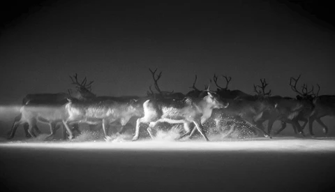 There's More to Life Than Photographic Technical Perfection 