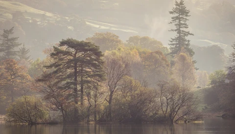 Frustration in Photography: Knowing When It's Time to Take a Break
