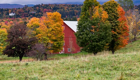 Three Tips for Photographing Fall Colors