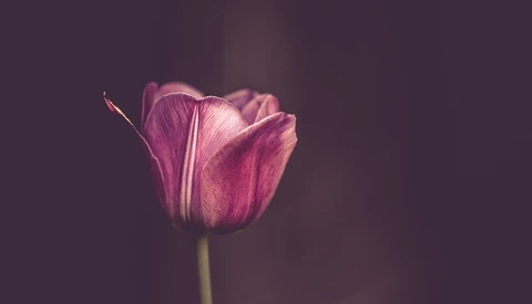Top 10 WeeklyFstops: Simplicity