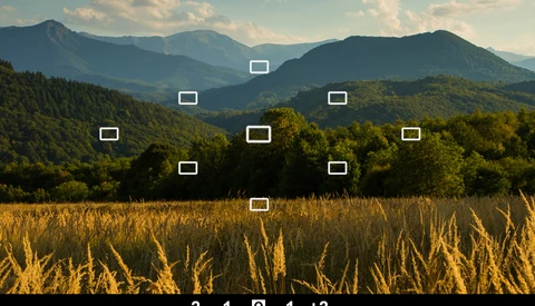 Understanding Your Camera's Internal Light Meter and Metering Modes