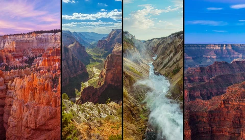 Art Rangers: A New Way to Support the Preservation of National Parks