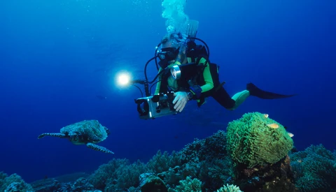 BBC’s 'Blue Planet' Is Back and It’s Better Than Ever