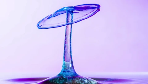 How to Nail Your Attempt at Water Drop Photography