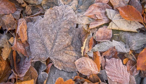 Keep Your Eyes and Mind Open: Finding Unexpected Images