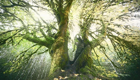 How to Add a Nice Sunray Effect Using Photoshop