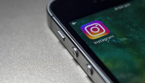 Instagram Fights Illegal Wildlife Exploitation by Warning Users in App