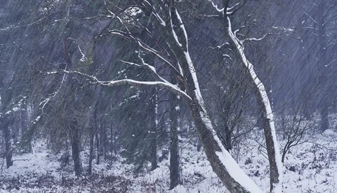 Shooting Landscape Images That Tell a Story