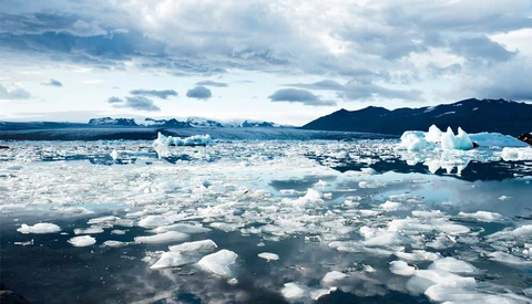 Heartbreaking Video of Starving Polar Bear Illustrates Devastating Effects of Global Warming