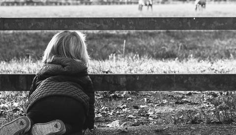 little girl looking through fence. toddler on hands and knees outside. black and white photo of a child looking at two horses in a field.