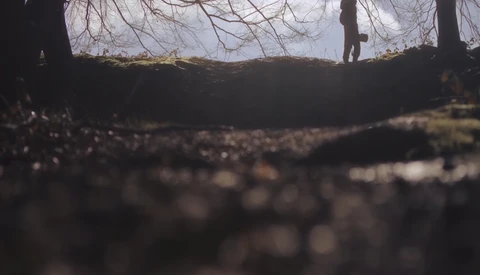 Wildlife Photographer Waits a Week for the Perfect Shot With Stunning Results