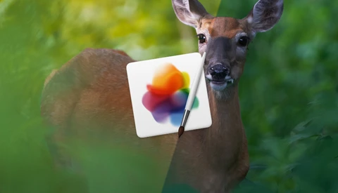 Fstoppers Reviews Pixelmator Pro: Not the Photoshop Alternative You're Looking For