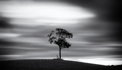 The Joys and Benefits of Shooting Landscapes Near Home