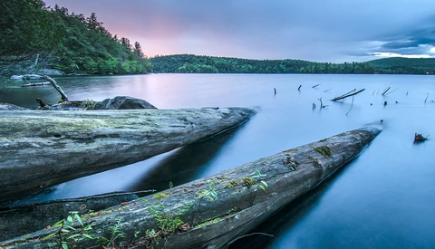 Photographer Uses Art and Social Media to Promote Conservation and Appreciation of Adirondack Park