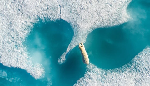 DJI Announces 2017’s Top Aerial Photos