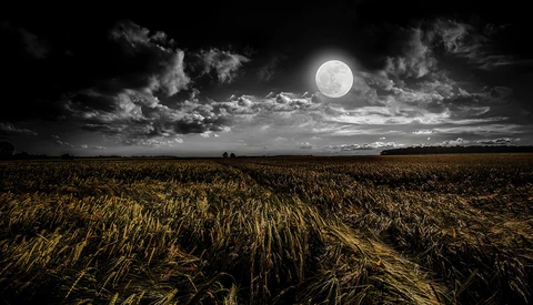 Even Peter Lik Says His Art Is Not Worth the Money