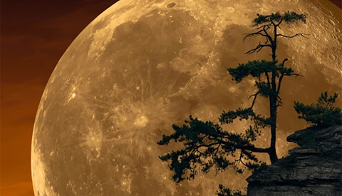 Peter Lik's ‘Moonlit Dreams’ Confirmed a Composite