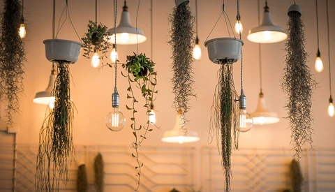 What Interior Designers Could Learn From Photographers