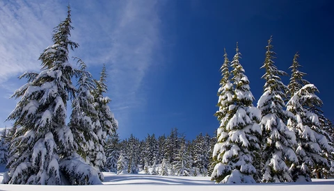 Tips and Tricks for Cold Weather Photography