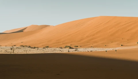 Fstoppers Interviews the Photographer Who Recorded an Amazing and Grueling Desert Expedition